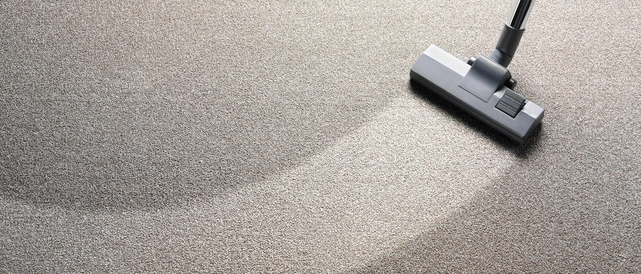 adelaide carpet cleaning