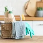 Eco-friendly home cleaning in Adelaide using natural, non-toxic products